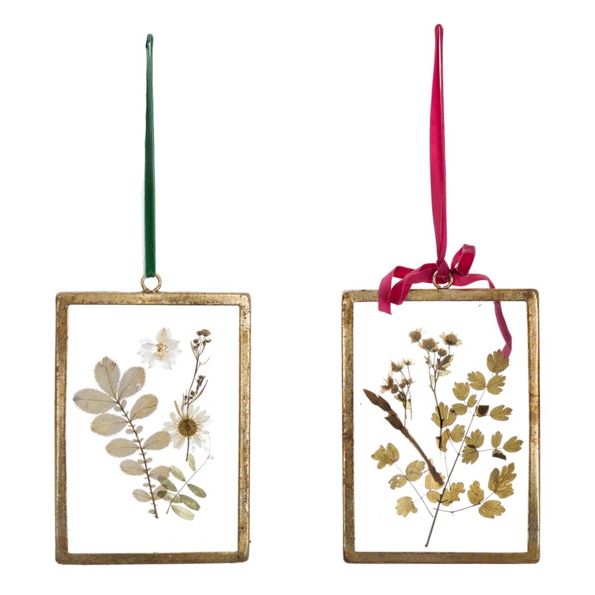 Cuadro botánico de cristal con flores prensadas y lazo